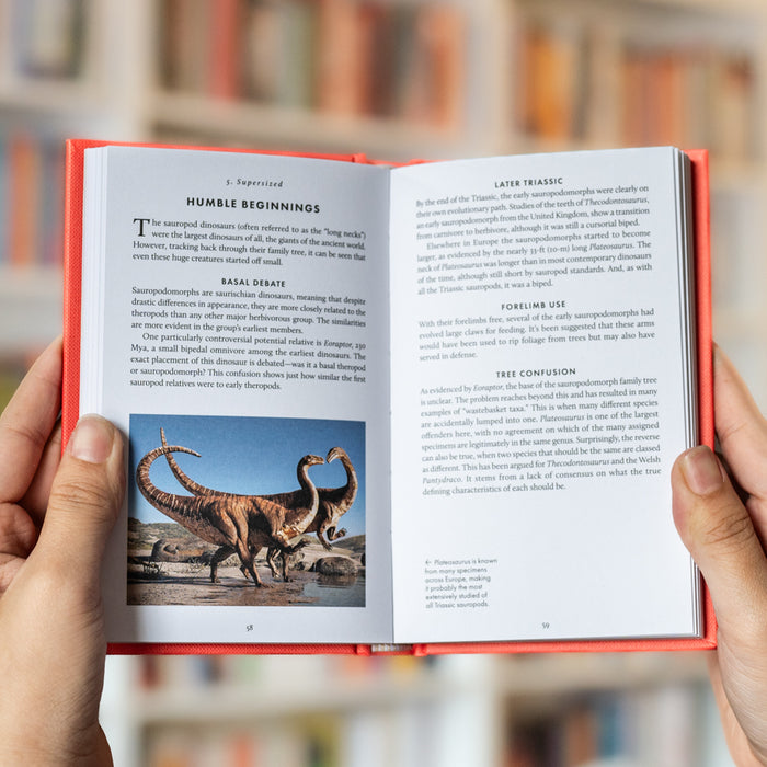 The Little Book of Dinosaurs