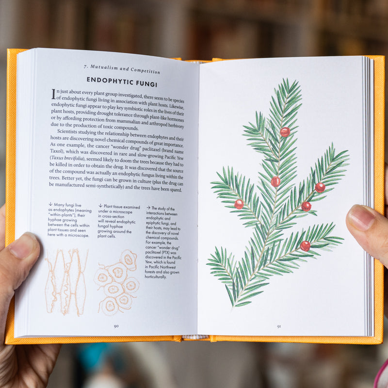 The Little Book of Fungi