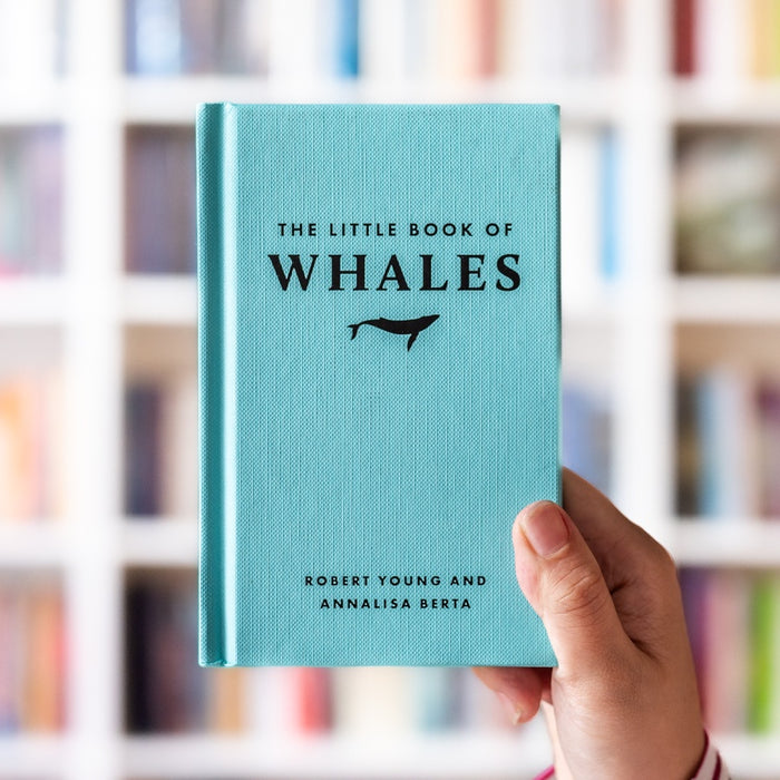 The Little Book of Whales