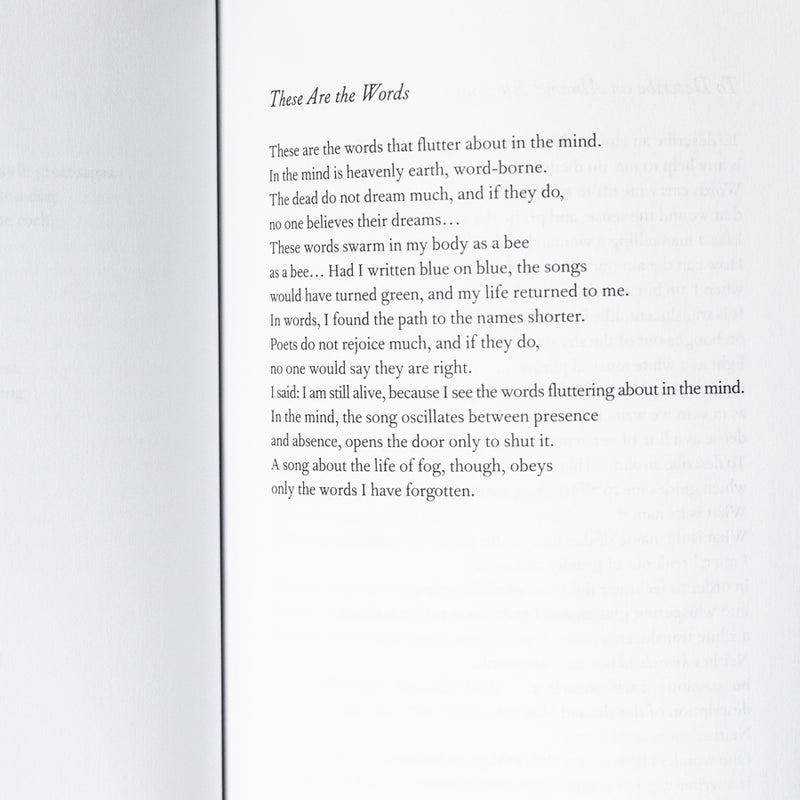 Almond Blossoms and Beyond