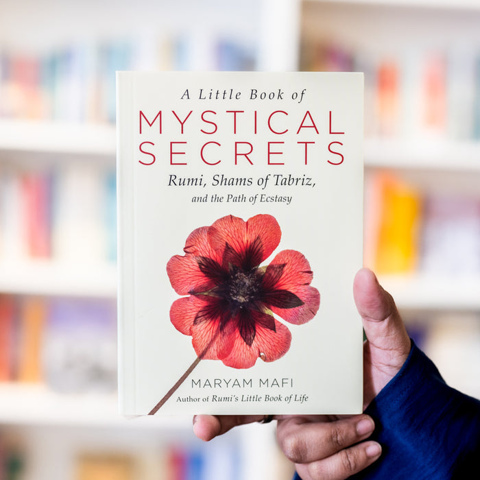 A Little Book of Mystical Secrets