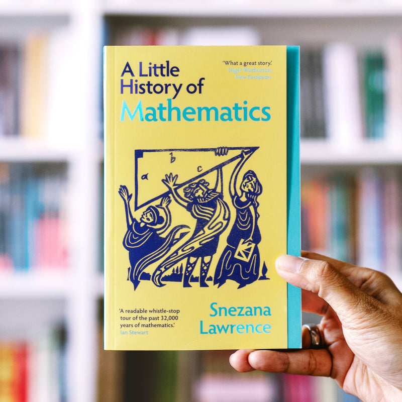A Little History of Mathematics PB