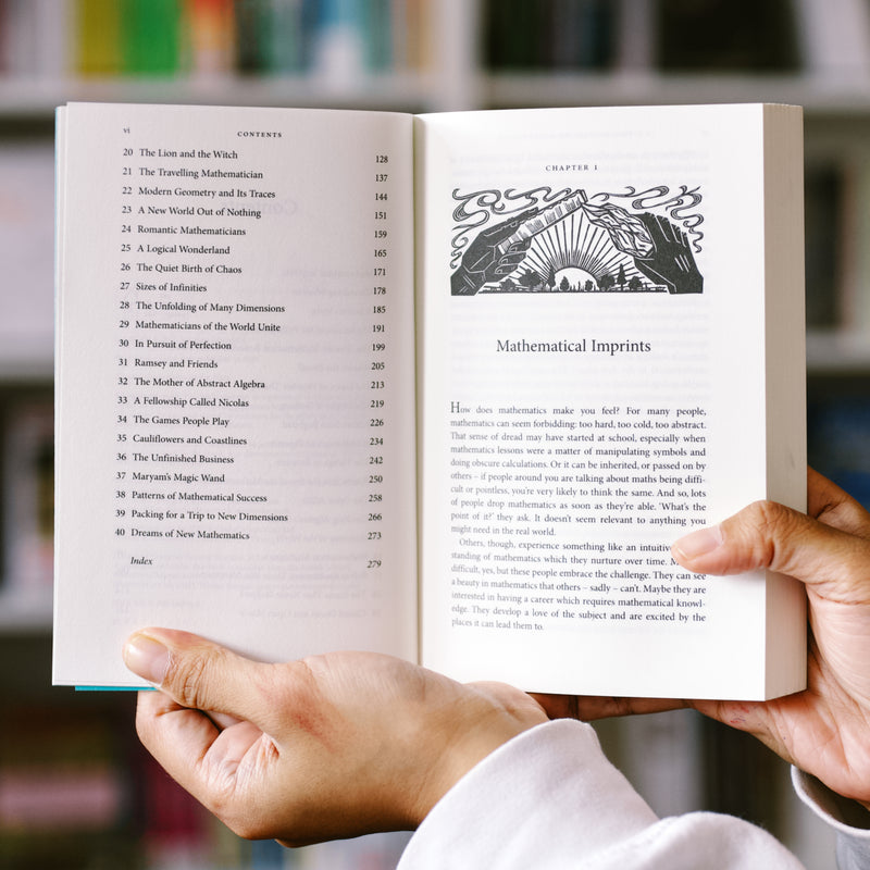 A Little History of Mathematics PB