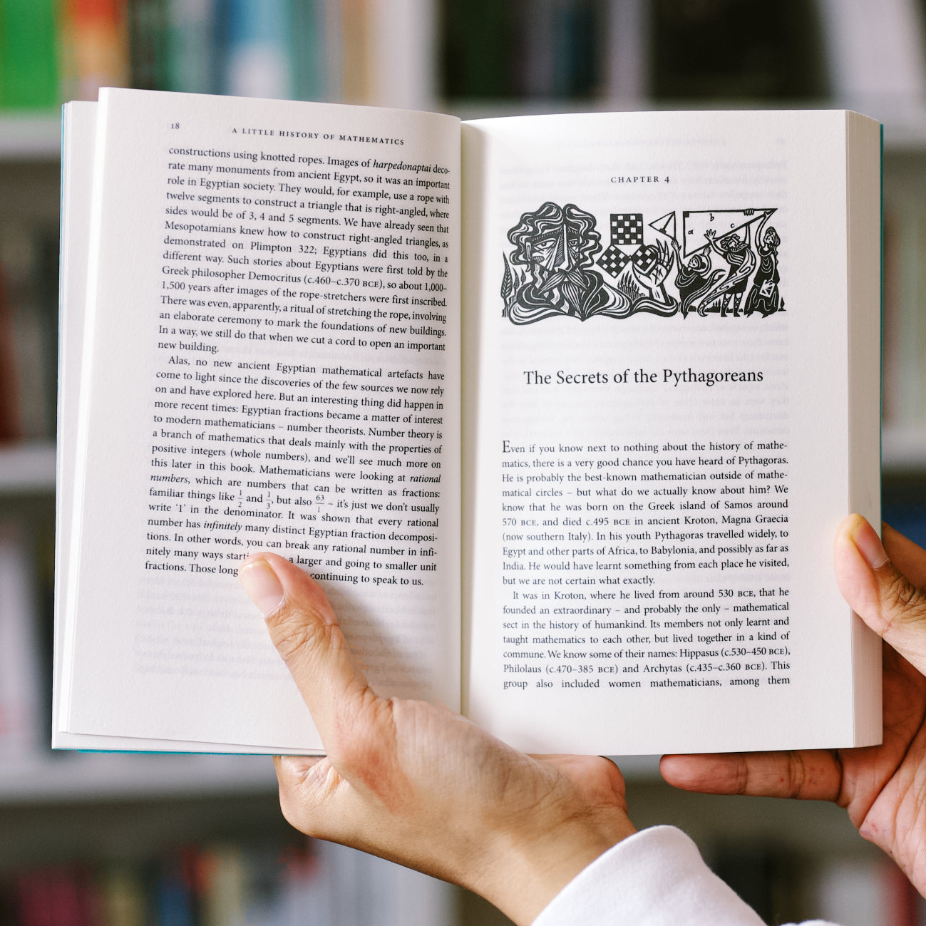 A Little History of Mathematics PB — Wardah Books