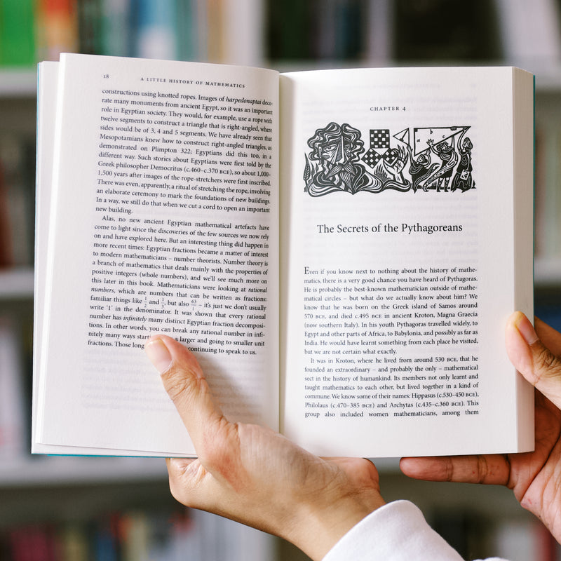A Little History of Mathematics PB