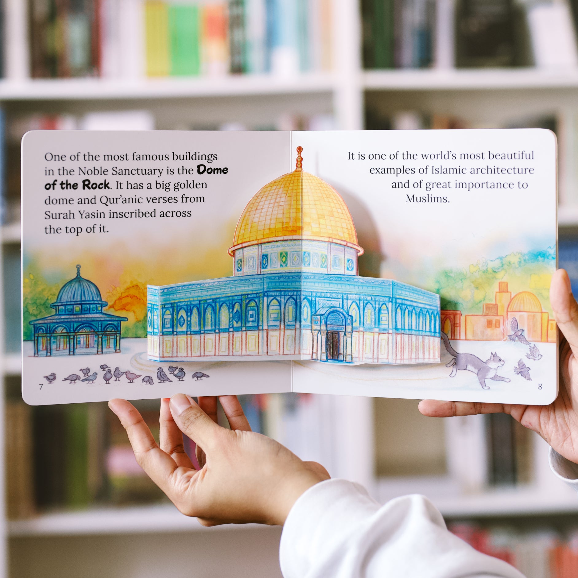 Let's Visit the Three Sacred Mosques Box Set — Wardah Books