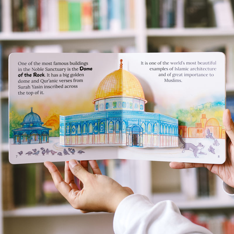 Let's Visit the Three Sacred Mosques Box Set