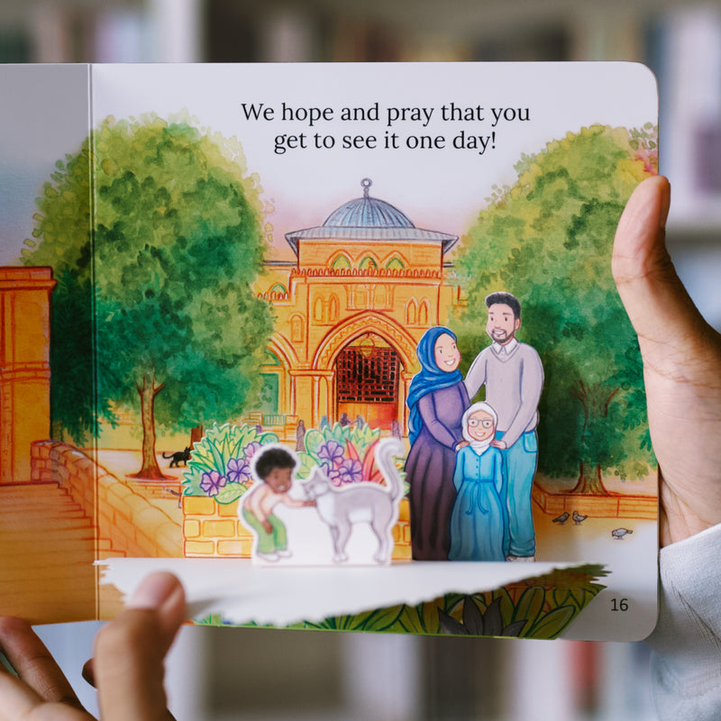 Let's Visit the Three Sacred Mosques Box Set