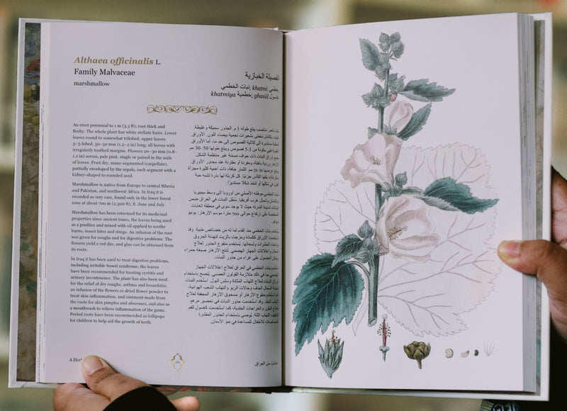 A Herbal of Iraq