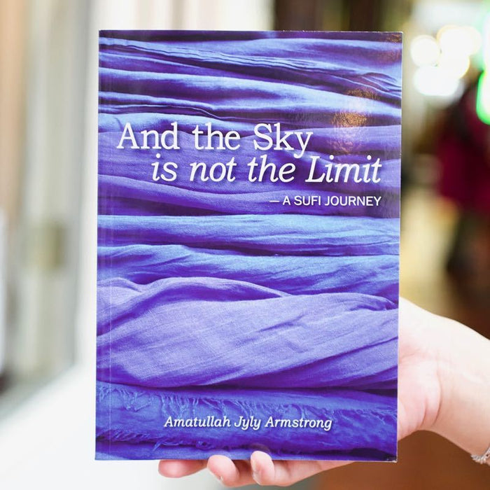And the Sky is not the Limit Revised Edition
