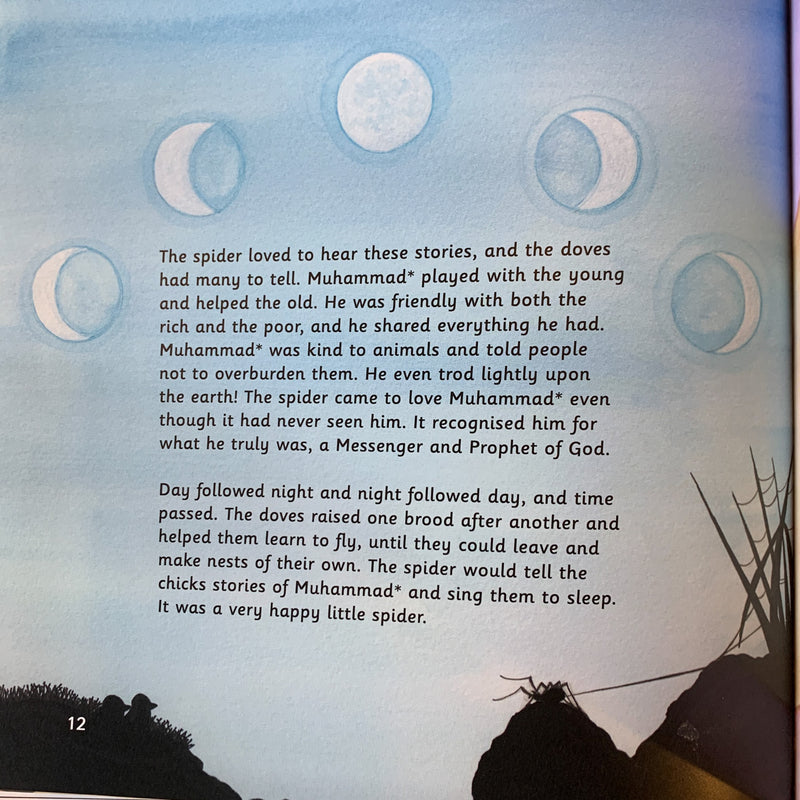 Spider and the Doves: The Story of the Hijra