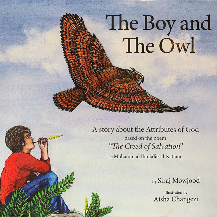 Boy and the Owl
