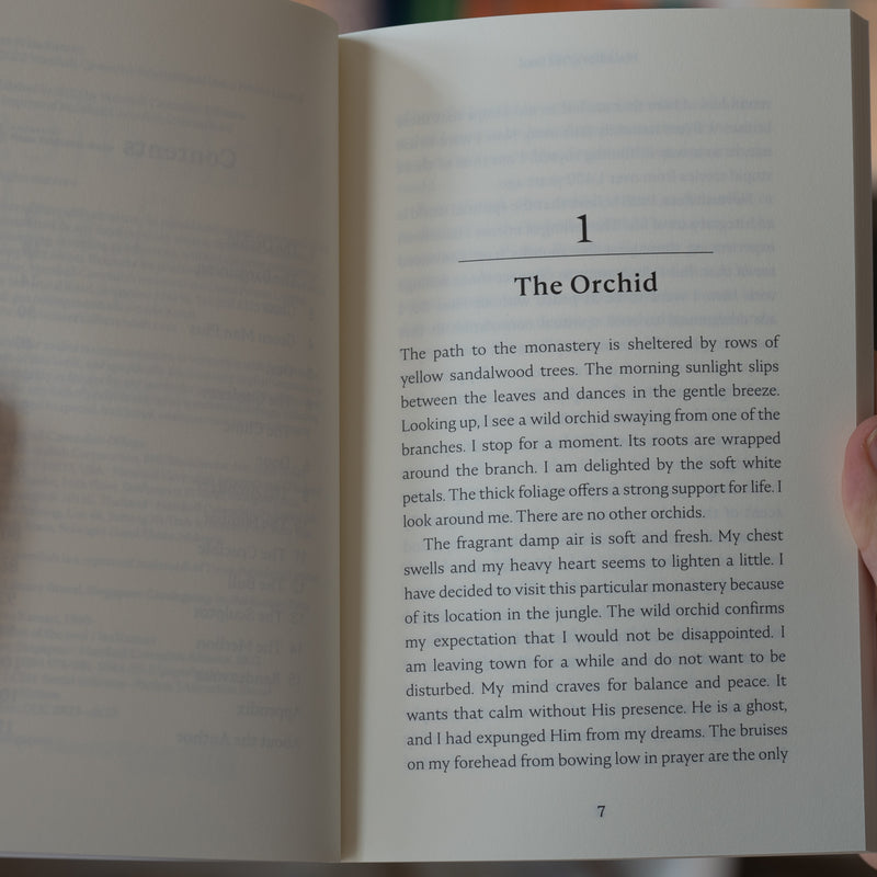 Maladies of the Soul