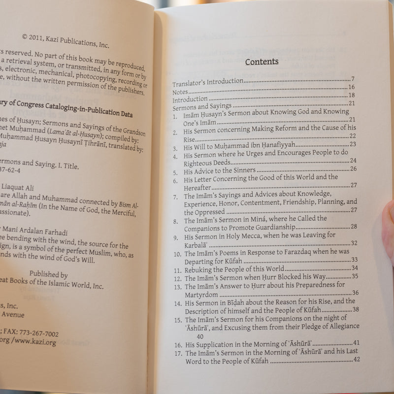 Divine Flashes of Husayn