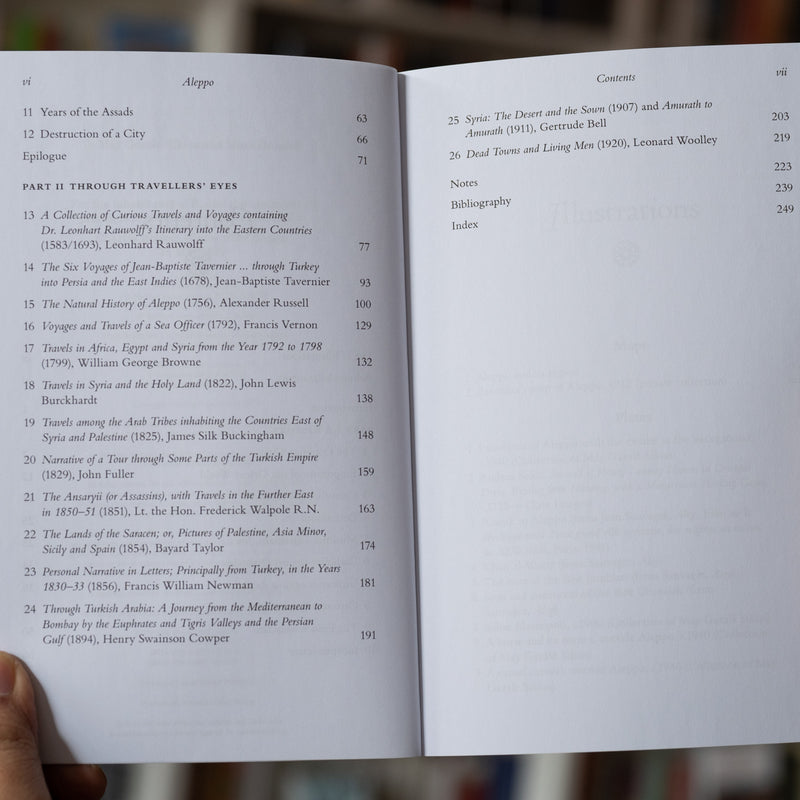 Aleppo: The Rise and Fall of Syria's Great Merchant City