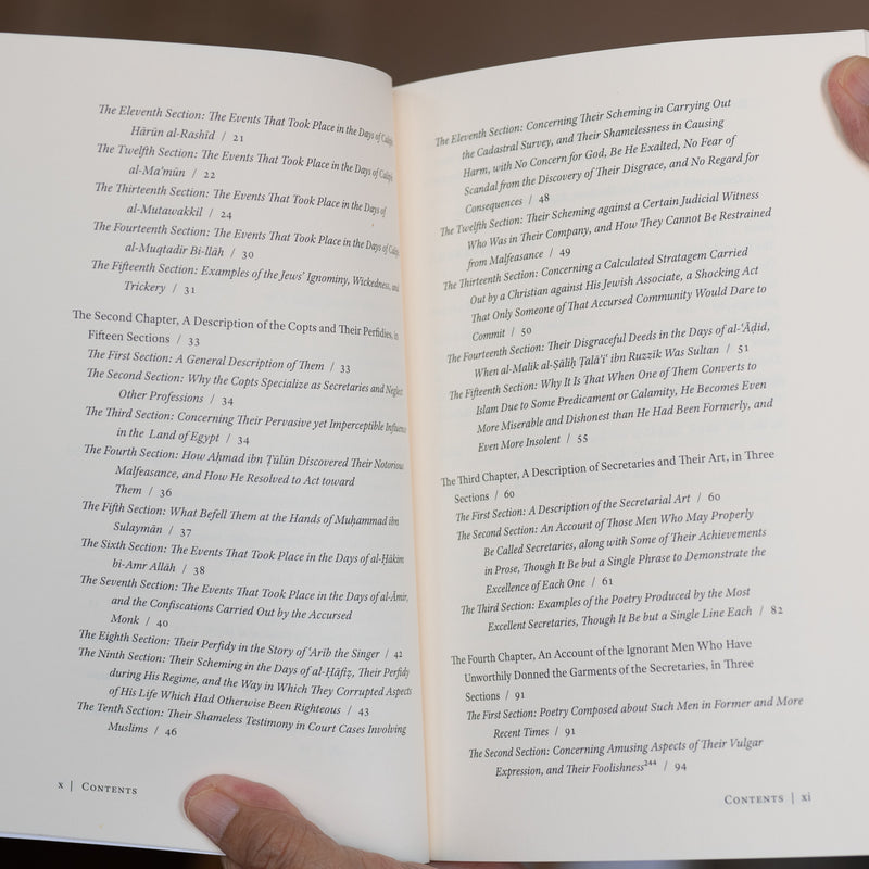 The Sword of Ambition: Bureaucratic Rivalry in Medieval Egypt