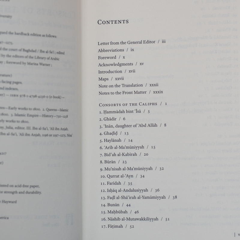 Consorts of the Caliphs: Women and the Court of Baghdad PB