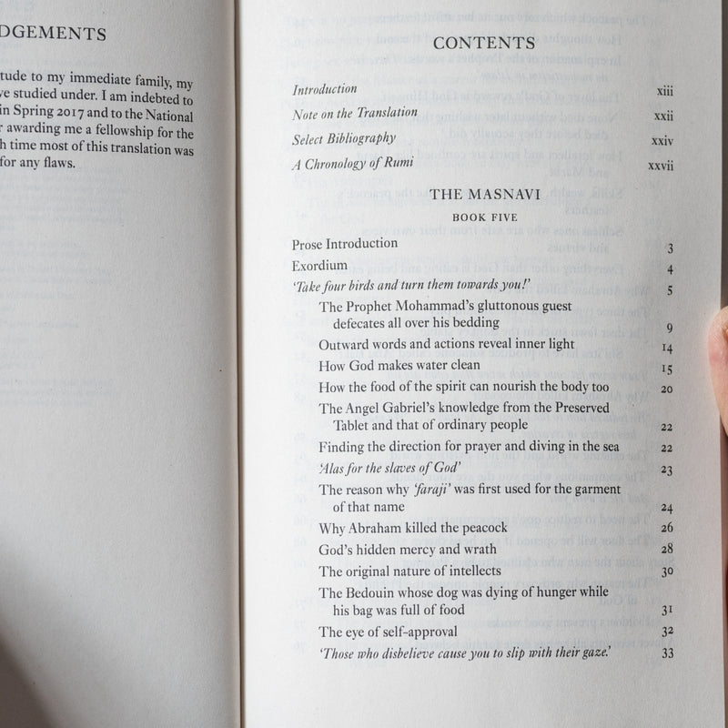 Masnavi Book Five