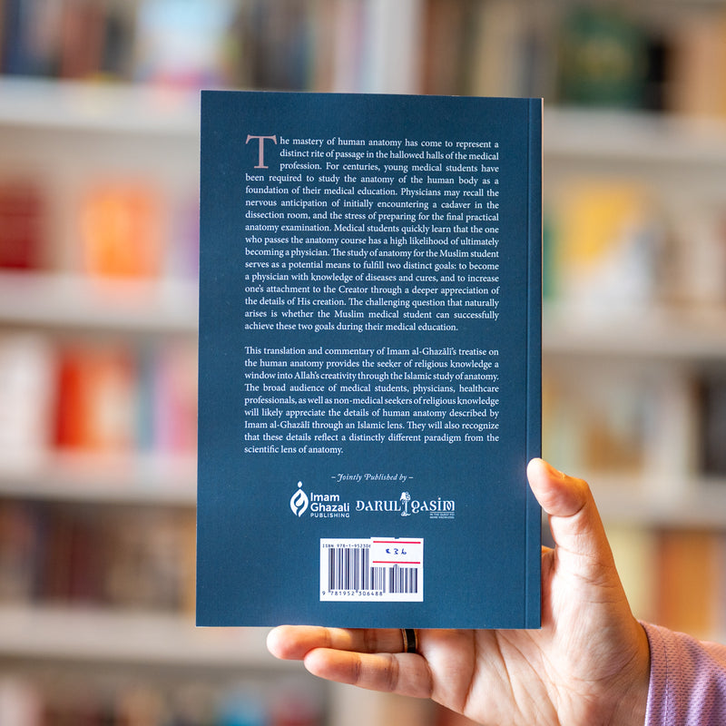 Concerning Divine Wisdom in the Creation of Man