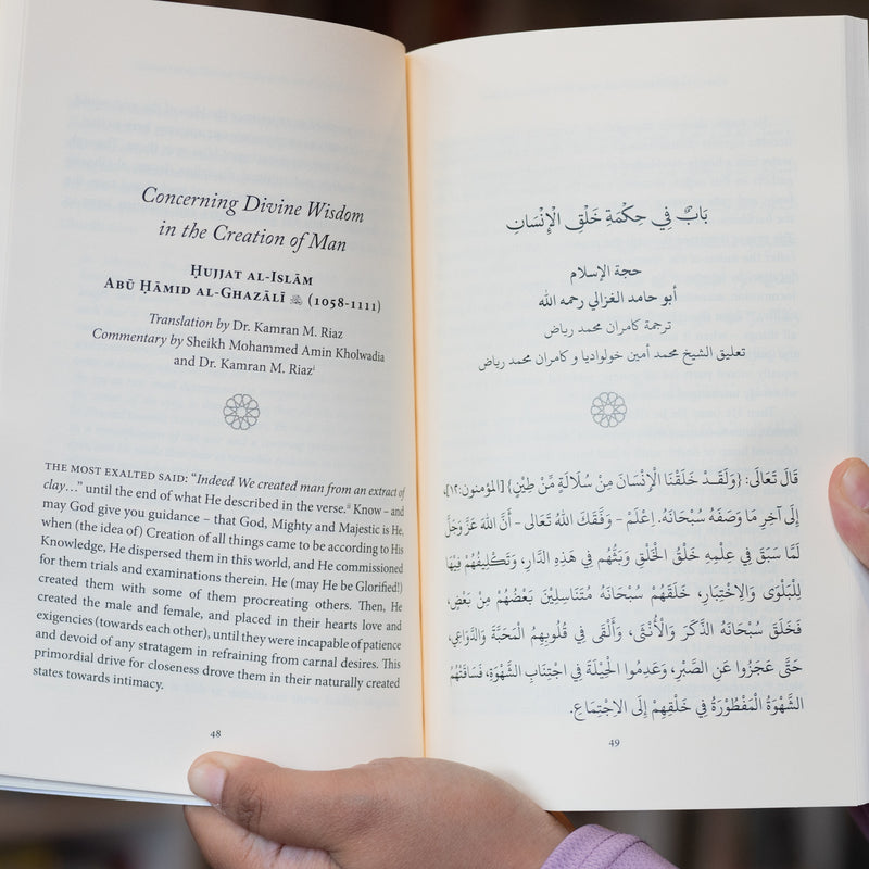 Concerning Divine Wisdom in the Creation of Man