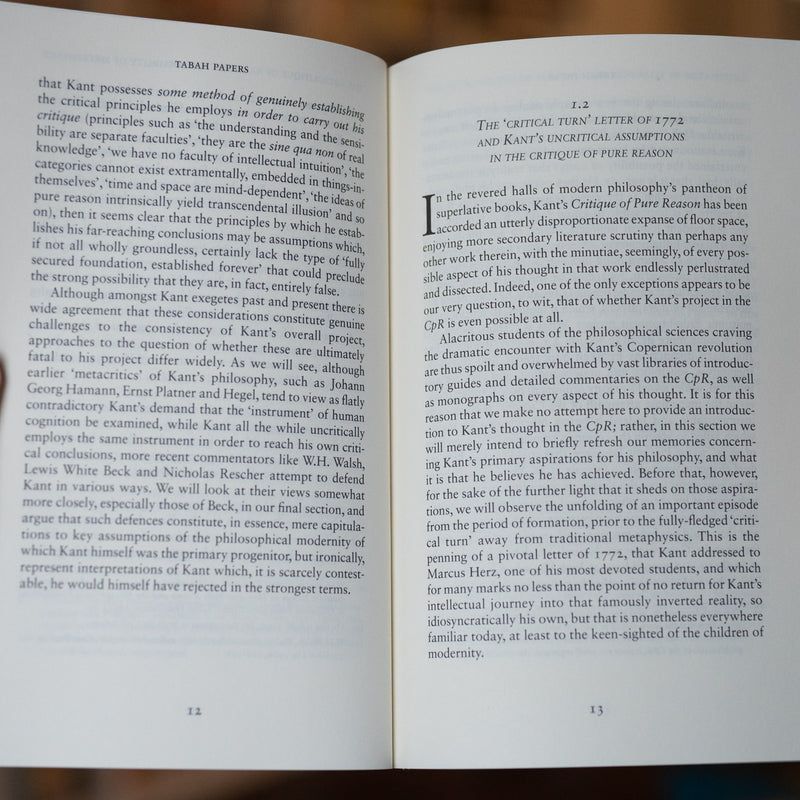 The Metacritique of Kant and the Possibility of Metaphysics