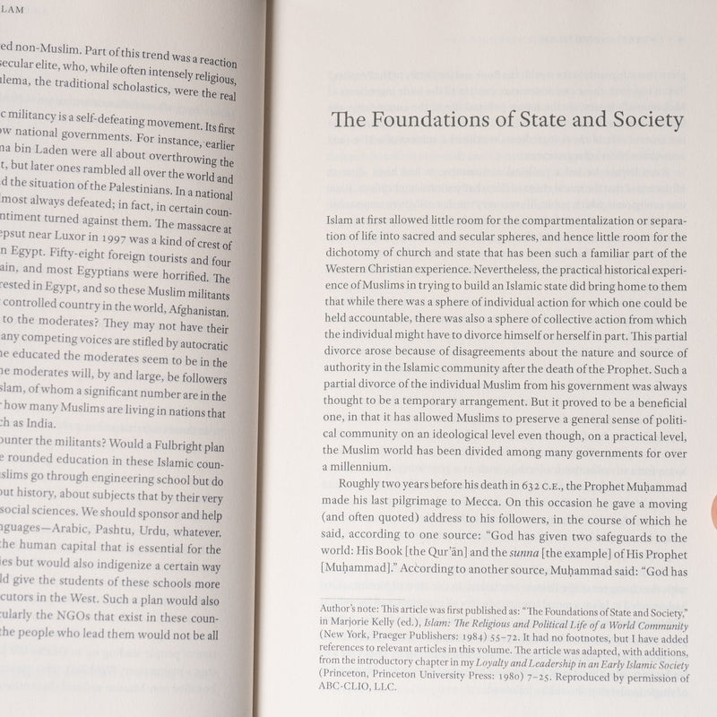 In the Shadow of the Prophet: Essays in Islamic History