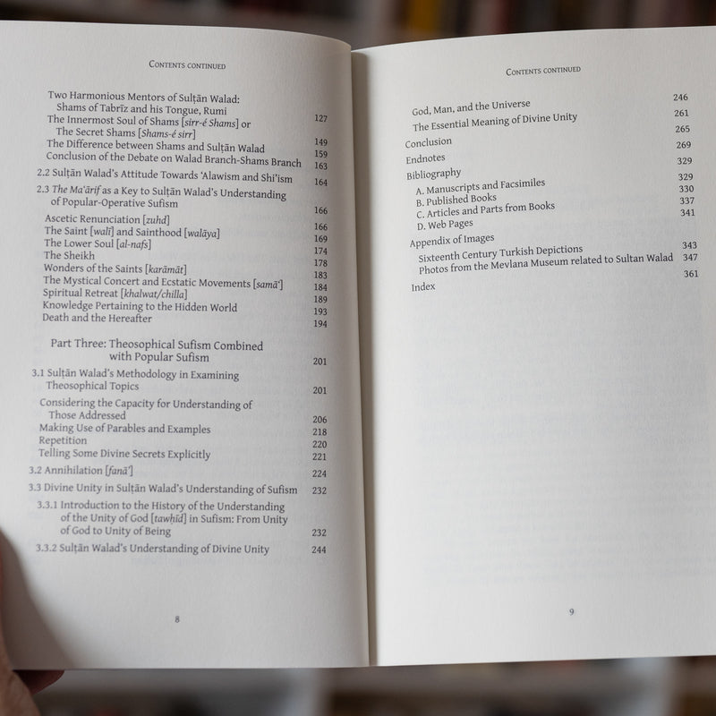 Sultan Walad: In the Footsteps of Rumi and Shams