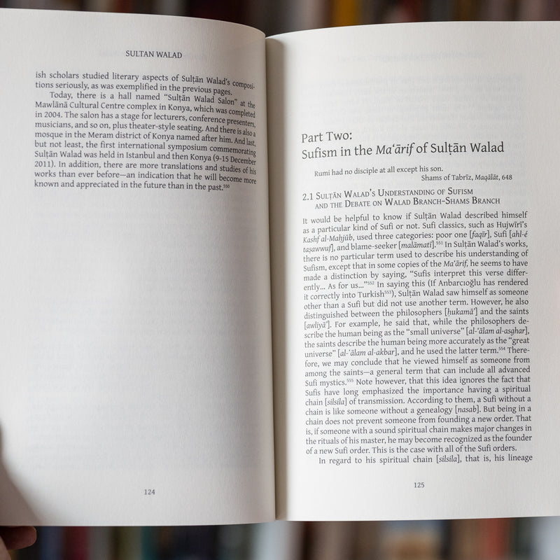 Sultan Walad: In the Footsteps of Rumi and Shams