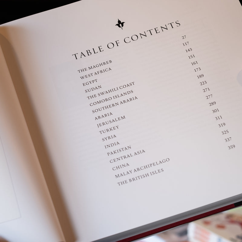 Meetings with Mountains