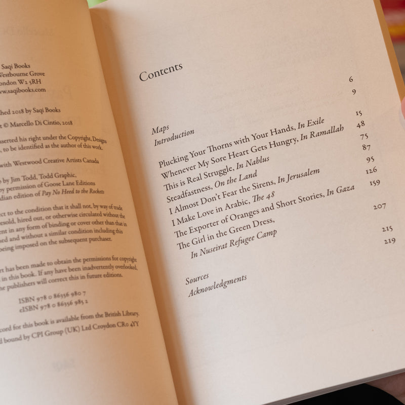 Pay No Heed to the Rockets: Palestine in the Present Tense