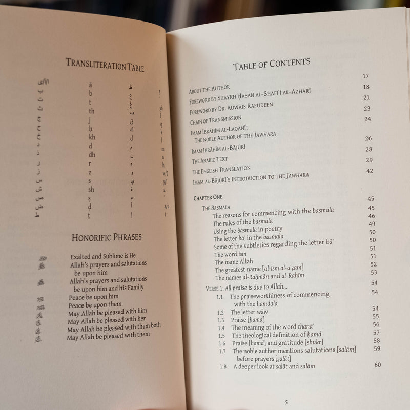 An Outpouring of Subtleties Upon the Pearl of Oneness Vol.1