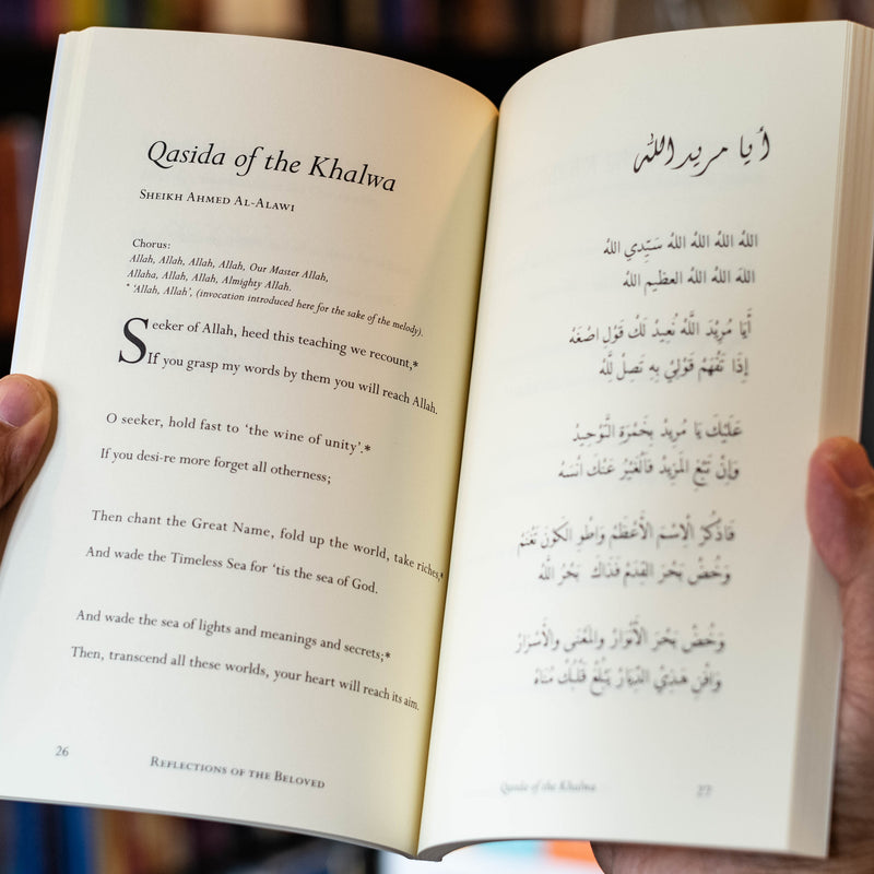 Reflections of the Beloved