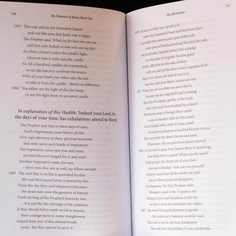 The Masnavi of Rumi, Book One