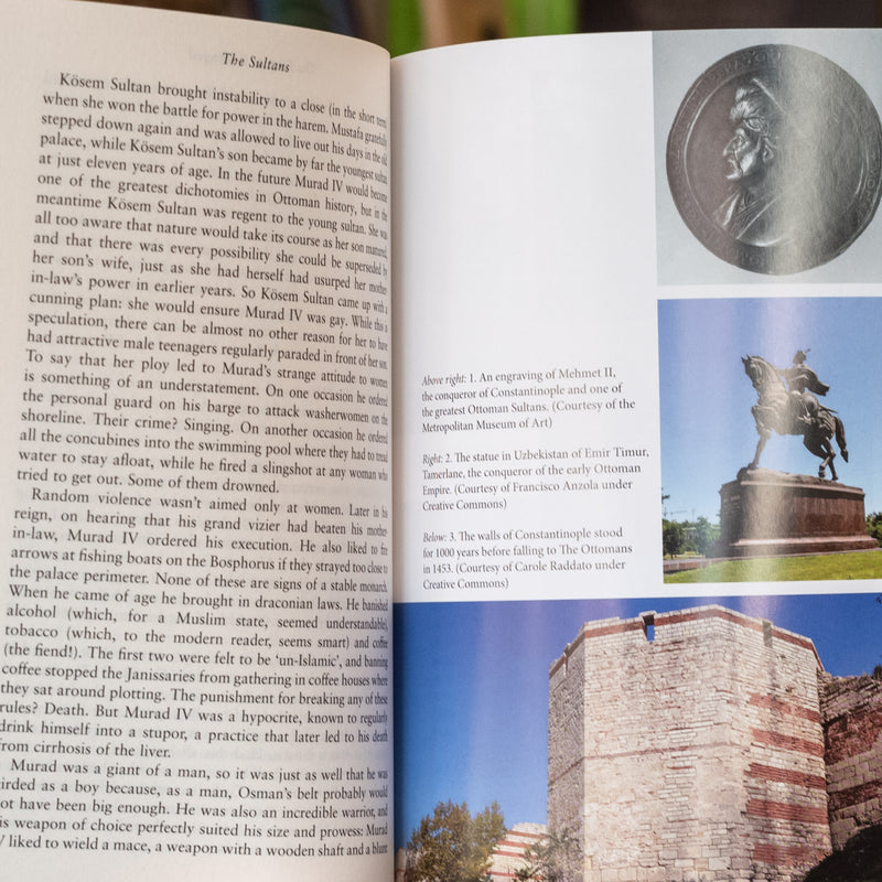 The Sultans: The Rise and Fall of the Ottoman Rulers and Their World