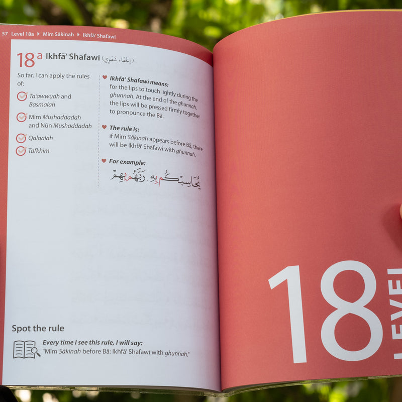 Rules of Tajwid (Madinah Script)