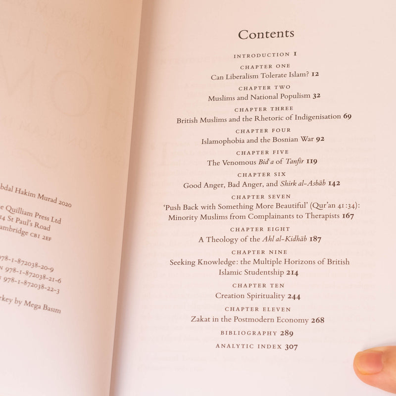 Travelling Home: Essays on Islam in Europe