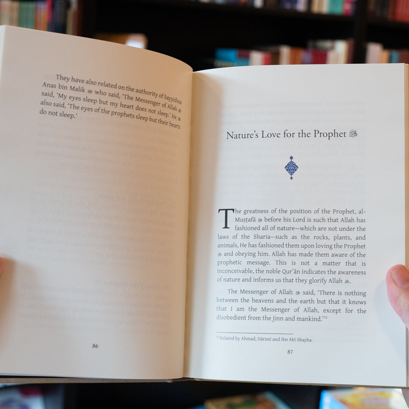 Salutations of the Prophetic Portrait for the Vision of the Beloved