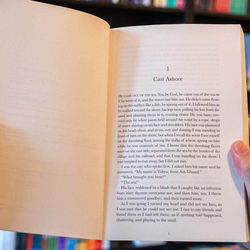 The Woman from Tantoura: A Novel from Palestine