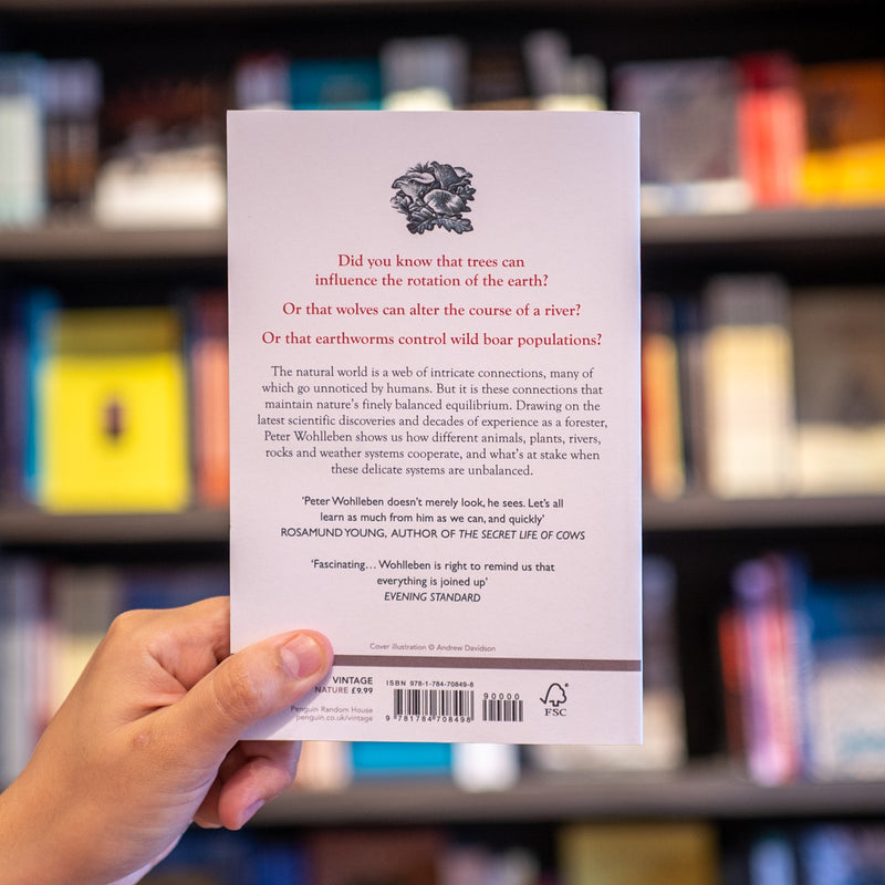 The Secret Network of Nature