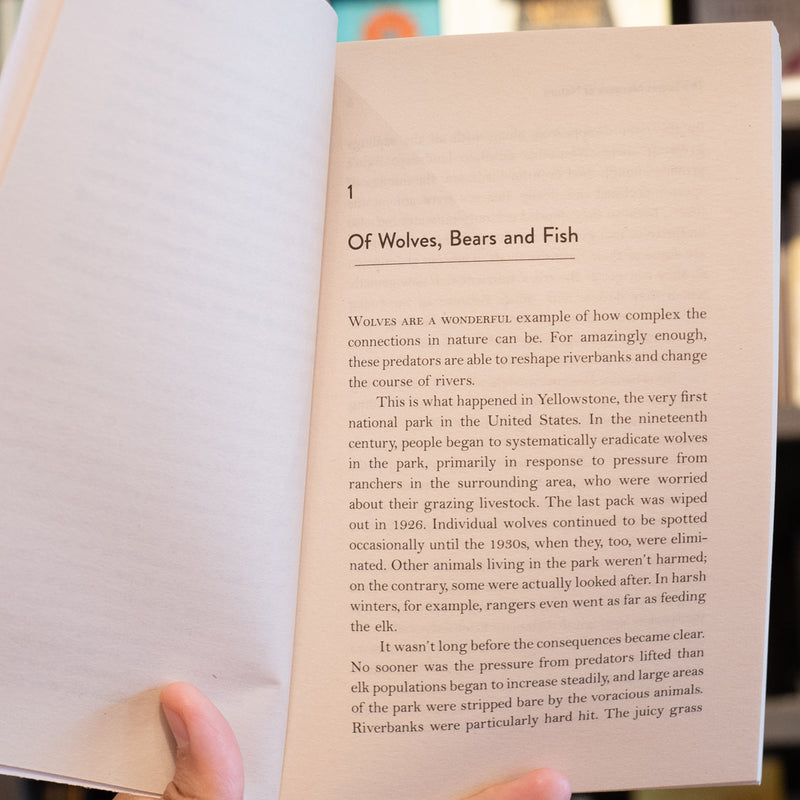 The Secret Network of Nature