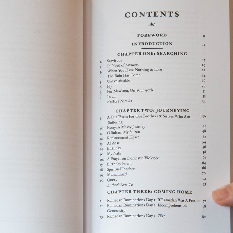 Desiring Light: Poems and Reflections