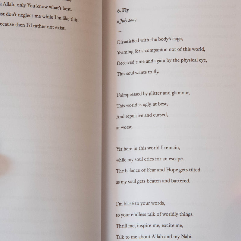 Desiring Light: Poems and Reflections