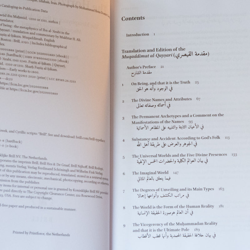 The Horizons of Being