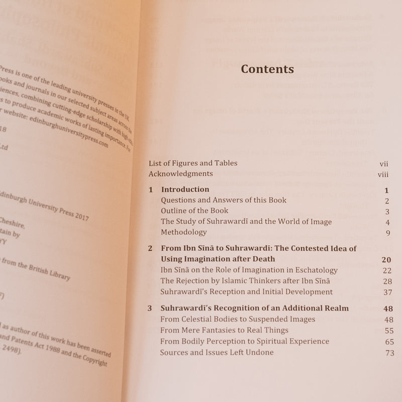 The World of Image in Islamic Philosophy: Ibn Sina, Suhrawardi, Shahrazuri and Beyond