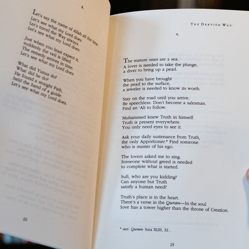 The Drop That Became the Sea: Lyric Poems of Yunus Emre