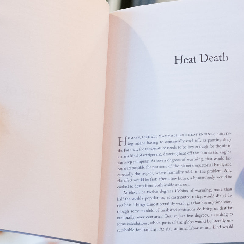 The Uninhabitable Earth: A Story of the Future