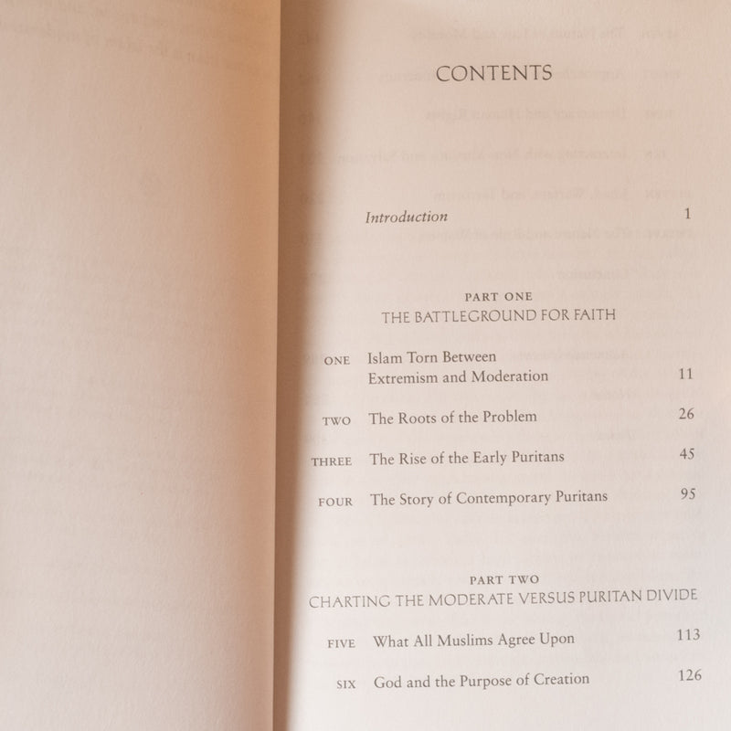 Great Theft: Wrestling Islam from the Extremists