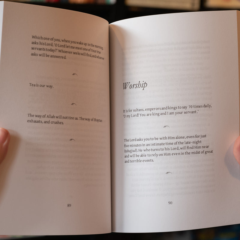 Solace for the Hearts