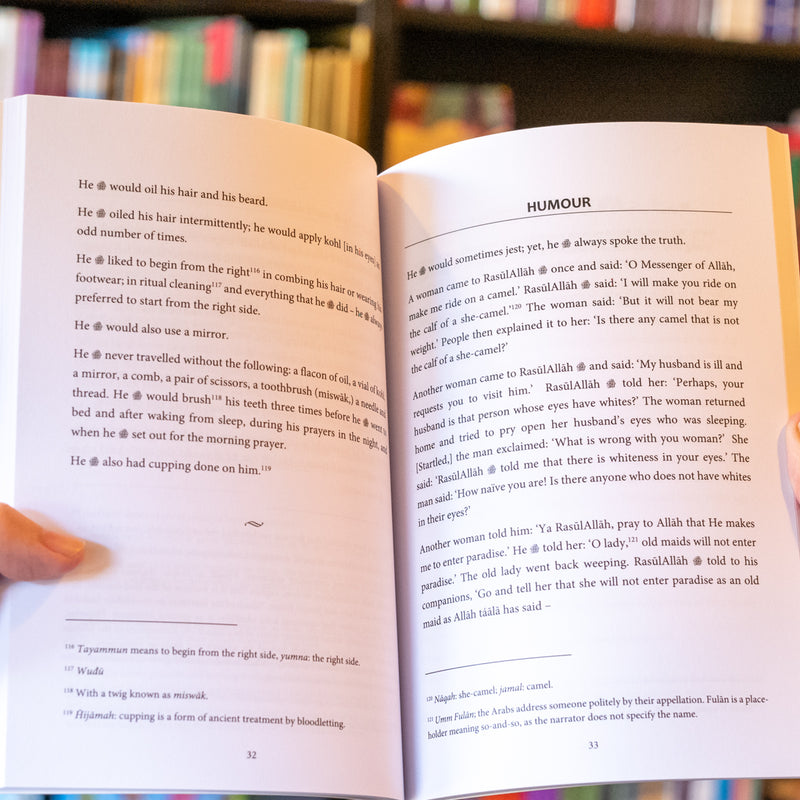 The Light of Sight: Biography of the Prophet