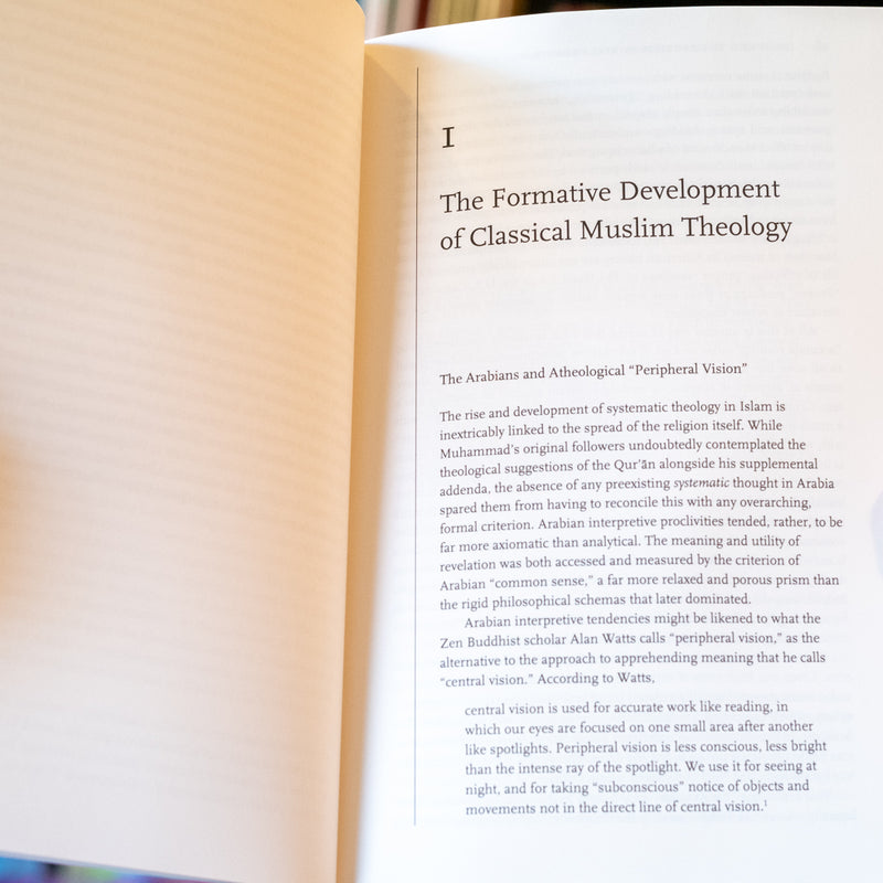 Islam and the Problem of Black Suffering